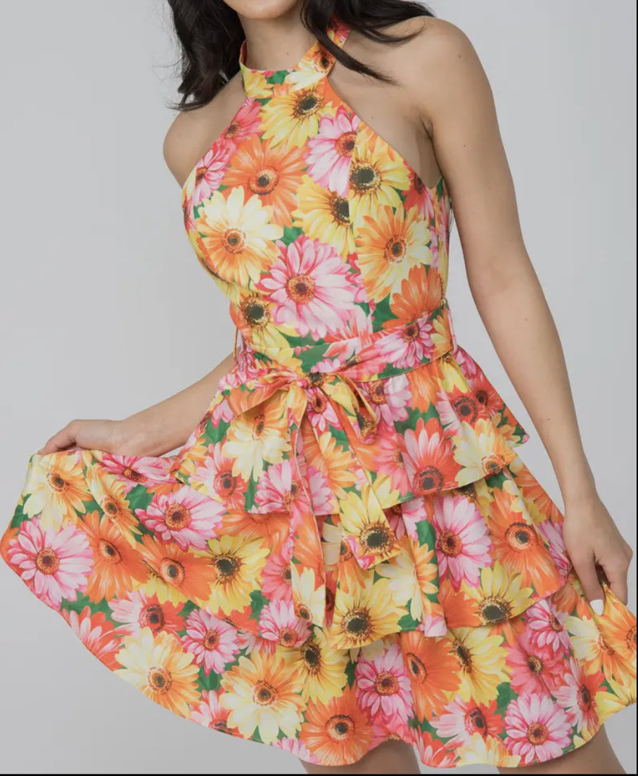 Full Bloom Dress